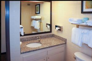 King Room with Tub - Disability Access/Non Smoking room in Pear Tree Inn Paducah