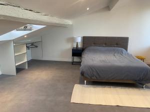 Appartements Superbe Appartement Atypique Combles - Neuf avec Vue : photos des chambres