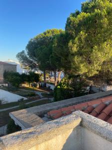 Veranda sul mare , i Pini