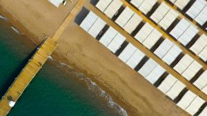 Sherwood Exclusive Lara