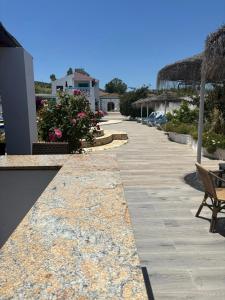 The Dragonfly Retreat