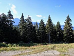 Appartements Appartement a Chamrousse 1700, belle exposition, proche superette et pistes - FR-1-549-1 : photos des chambres