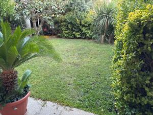 Wonder House Airport