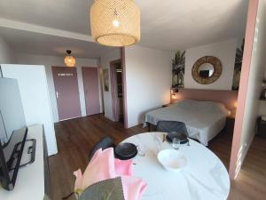 Appartements La Roseraie du Chateau climatise! : photos des chambres