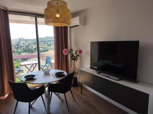 Appartements La Roseraie du Chateau climatise! : photos des chambres