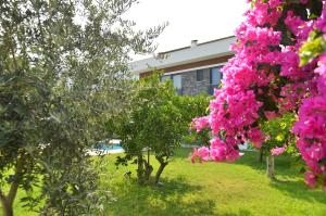 Villa Opera Kemer Müstakil Villa