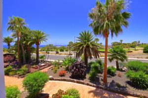Apartament Gold Del Sur Tenerife 2 - Ocean View