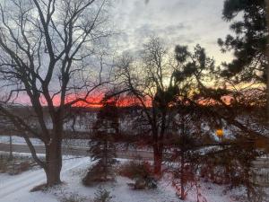 The House of Elsie Bed and Breakfast