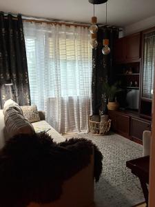 Przytulny Apartament