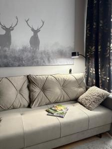 Przytulny Apartament