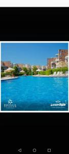 مارسيليا بيتش فور بيانكا 14