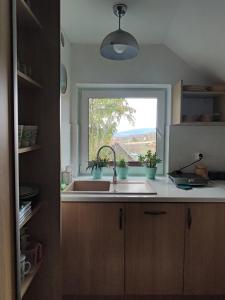 OSowa Noclegi Wetlina