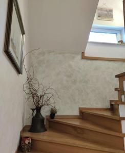 OSowa Noclegi Wetlina