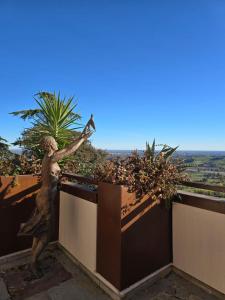 Il nido in collina Bertinoro