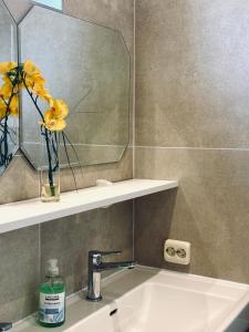 Sunlit Apartment with Garden, Next to Station, Vienna