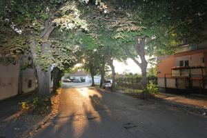 Ada Lake new apartment