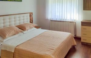 4 Bedroom Nice Home In Smoljanac 