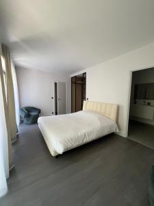 Appartements Luxurious Duplex, Spacious, Garden, Parking : photos des chambres