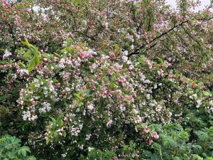 Velkommen til Søhøjlandet A!