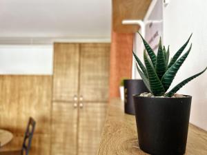 Appartements Delrio : photos des chambres