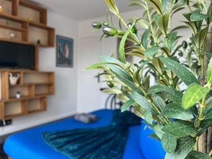 Appartements Delrio : photos des chambres
