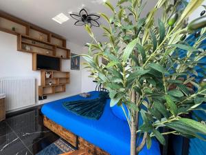 Appartements Delrio : photos des chambres