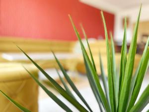 Appartements Delrio : photos des chambres