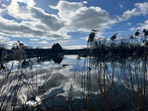 Maisons de vacances Holiday Home in Isenay near Lake and Forest, cleaning included : Maison de Vacances 1 Chambre