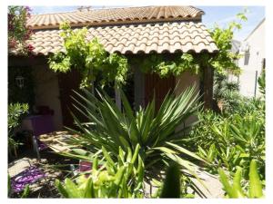 Maison de vacances Kurt dans le sud de la France