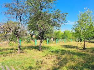 Maisons de vacances House near Vosges Park and La Petite Pierre : photos des chambres