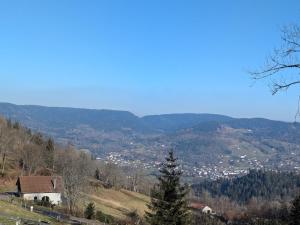 Maisons de vacances Gite authentique a la montagne pour 10 pers. avec spa - FR-1-589-830 : Maison de Vacances