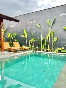 Cozy 1Bedroom View Ricefields