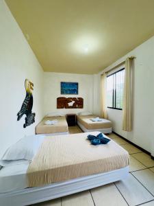 Tintorera Guest House