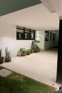 Toronja C O V A D O N G A