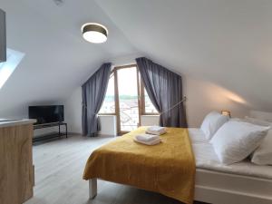 Willa M19 - Adults Only