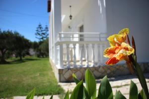 Explorer's Rest Zakynthos Greece