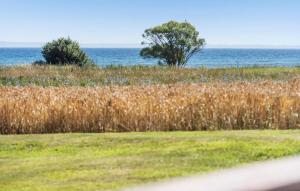 Nice Home In Nordborg With Sauna