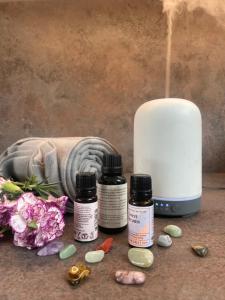 B&B / Chambres d'hotes Les Peupliers Loire : photos des chambres