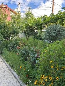 Guest House PIROSMANI