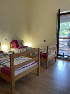 Németh Apartman Palić