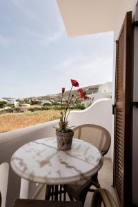 Panos Luxury Studios Paros Greece