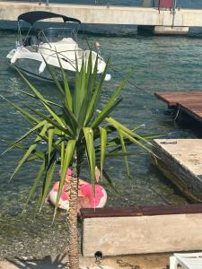 Apartment Panda Sea Touch