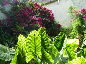 Casa Palacio Morla y Melgarejo