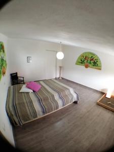 Appartamento vista Oliveta