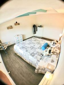 Appartamento vista Oliveta