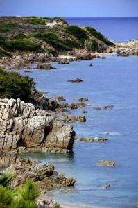 Appartements Appartement Vue Mer Corse Sud : photos des chambres