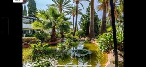 Ca Mestral Marbella - Sierra Blanca - Una de las mejores zonas de Marbella