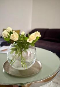 Appartment im Süden der Stadt - 3hvězdičkové hotely ve městě Erfurt