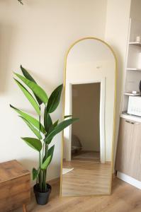Luxe Suite MAI36