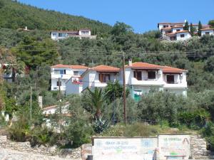 Azalea Skiathos Greece